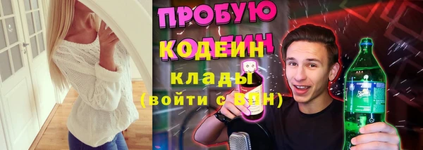 соль ск Дмитров