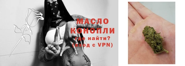 прущий лед Дмитриев