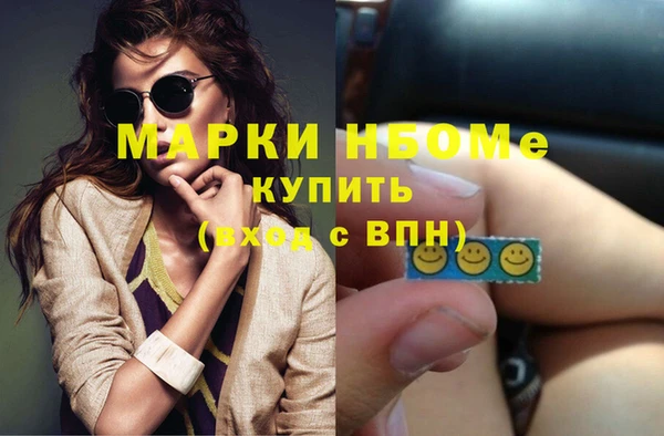 прущий лед Дмитриев