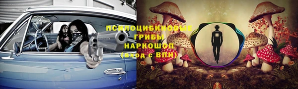 прущий лед Дмитриев
