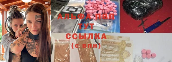 стаф Дмитровск