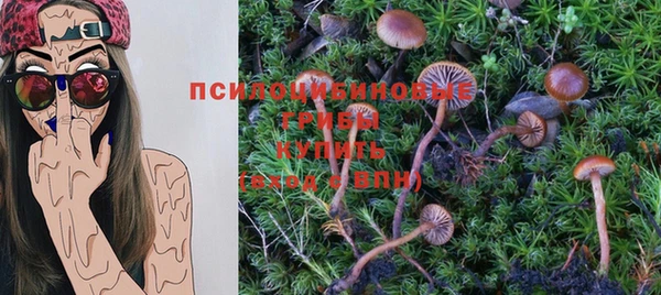 мет Горнозаводск
